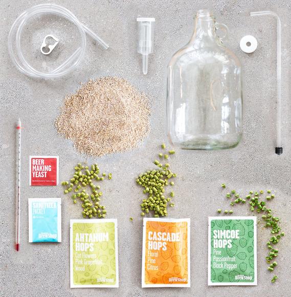 Beer Making Kit - Brewdog Punk IPA - Image 2